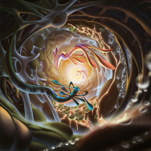 日本女优与黑人
