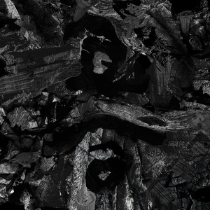 日本女优与黑人
